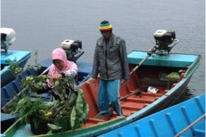 Waduk Darma Alami Pendangkalan